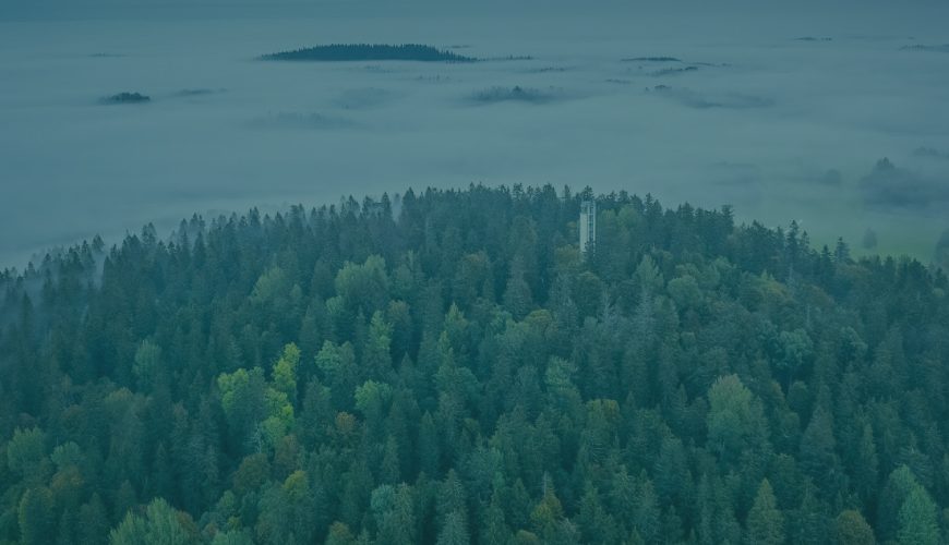 Lõuna-Eesti spaad